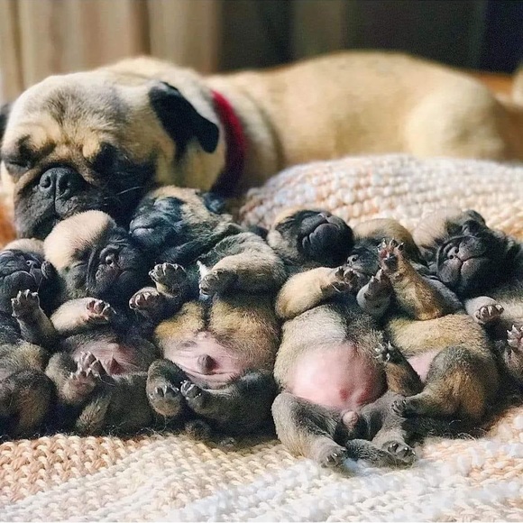 Tag list - Picture 4 of 13